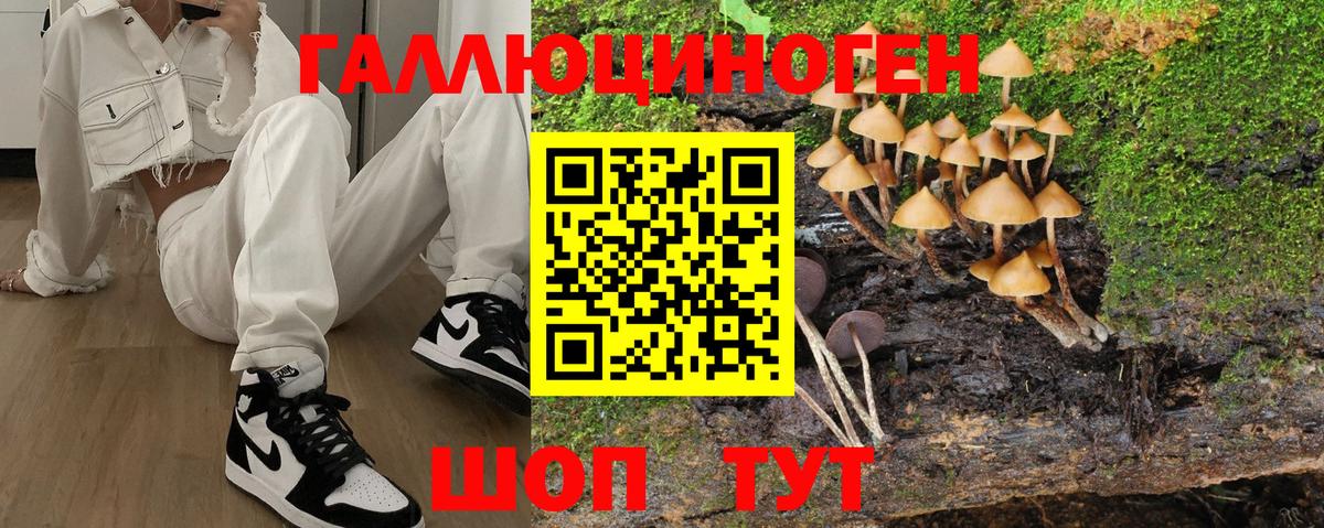 цены наркотик  Псилоцибиновые грибы Psilocybe  Вход с VPN  Усолье-Сибирское  Галлюциногенные грибы GOLDEN TEACHER 